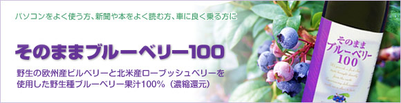 そのままブルーベリー100バナー